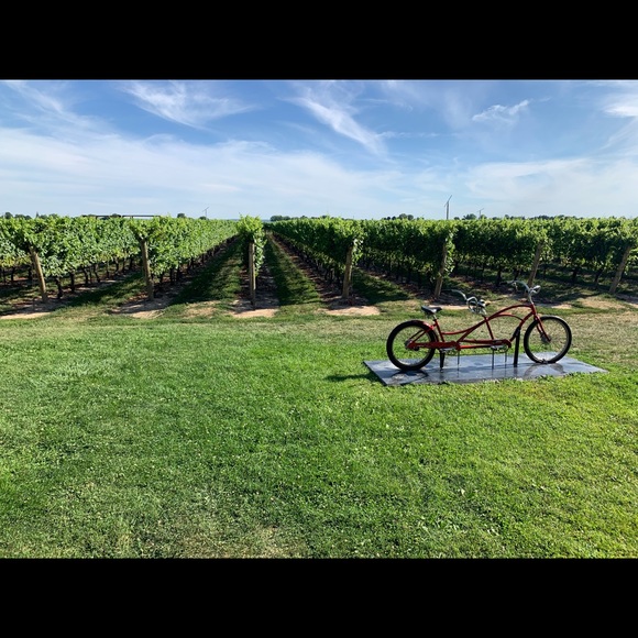 Meet your Posher, Laila - Picture 1 of 1